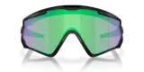 Очки велосипедные Oakley Wind Jacket 2.0 PRIZM Road Jade — фото 2