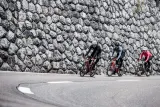 Кофта велосипедная Rogelli Distance — фото 6