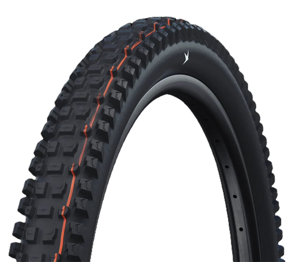 Покрышка велосипедная Schwalbe Albert Trail Pro HS641