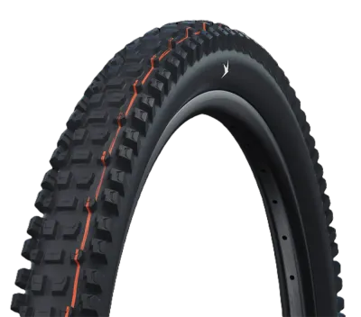 Покрышка велосипедная Schwalbe Albert Trail Pro HS641