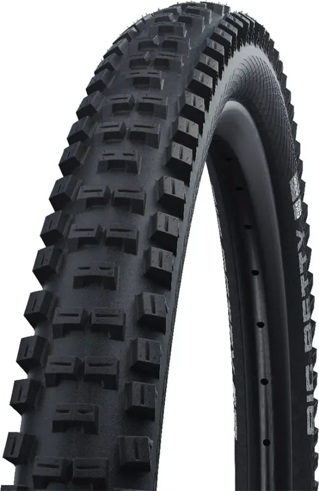 Покрышка велосипедная Schwalbe Big Betty Performance