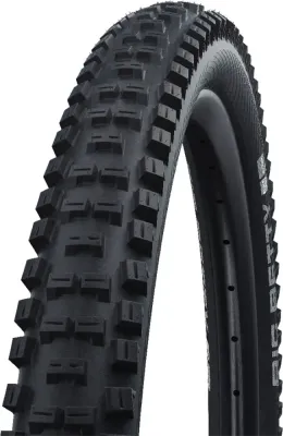 Покрышка велосипедная Schwalbe Big Betty Performance