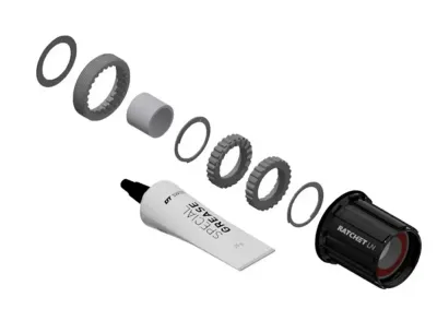 Сервисный комплект Dt Swiss Ratchet LN MTB Shimano 10/11
