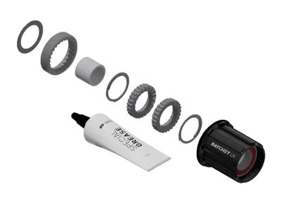 Сервисный комплект Dt Swiss Ratchet LN MTB Shimano Micro Spline