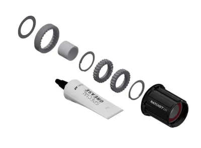 Сервисный комплект Dt Swiss Ratchet LN MTB Shimano Road