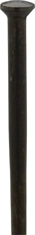 Спицы Dt Swiss Competition Straightpull
