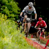 Покрышка велосипедная Vittoria Torrente XC Race — фото 4