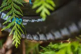 Покрышка велосипедная Schwalbe Romy Trail Pro — фото 4