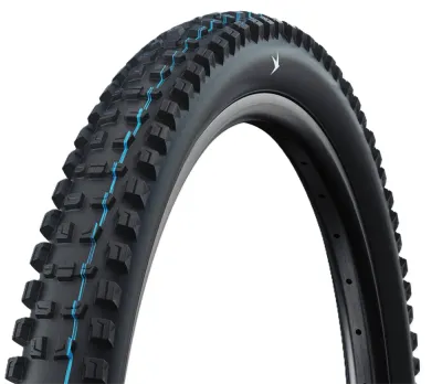 Покрышка велосипедная Schwalbe Romy Race Pro