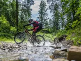 Шорты велосипедные MTB Dartmoor Woods — фото 2