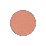 MAC Тени для век, оттенок Pro Palette Eyeshadow — фото 1