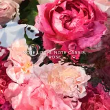 Крем для рук GUERLAIN Rosa Rossa, 50 мл — фото 3