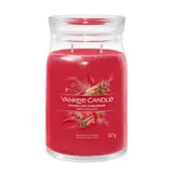 Yankee Candle Signature Ароматическая свеча в банке, аромат Sparkling Cinnamon, 567 г — фото 1