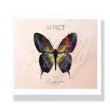Affect Butterfly Палетка теней для век, 22,8 г — фото 3