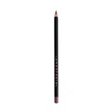 Anastasia Beverly Hills Карандаш для губ, 1,49 г, оттенок Raisin — фото 1