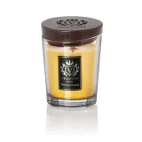 Vellutier Medium Candle - Tropical Voyage, 225 г — фото 1