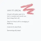 Sweed Lip Liner карандаш для губ, водостойкий, 1,07 г, оттенок Chloe. SALE — фото 4