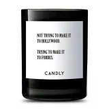 Свеча Candly&Co Not trying to make it, 250 г — фото 1