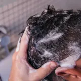 Бальзам для волос для смывания Sober Follicle Treatment, 250 мл — фото 5
