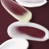 Dermalogica Dynamic Skin Strengthening Сыворотка для лица укрепляющая, антивозрастная, со скваланом, 30 мл — фото 4