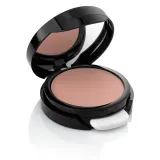 Тональный крем Annayake Silky compact foundation, оттенок Nr 20. SALE — фото 1