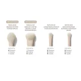 Morphe Oat Latte 5-Piece Face and Eye Brush Set набор кистей для лица и глаз 5 предметов, 1 шт — фото 4