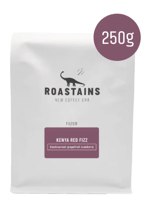 Кофе в зёрнах Roastains Kenia Red Fizz для альтернативных методов 250 г
