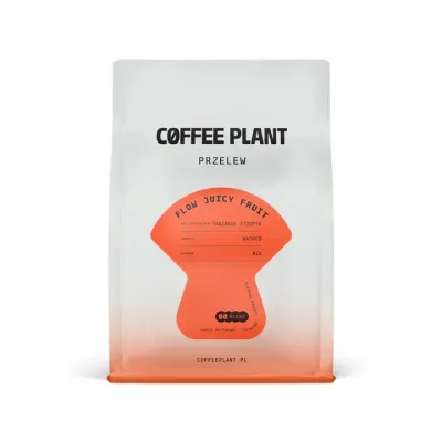 Кофе в зернах Coffee Plant FLOW Juicy Fruit, 250 г