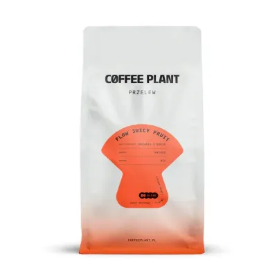 Кофе в зернах Coffee Plant FLOW Juicy Fruit, 800 г