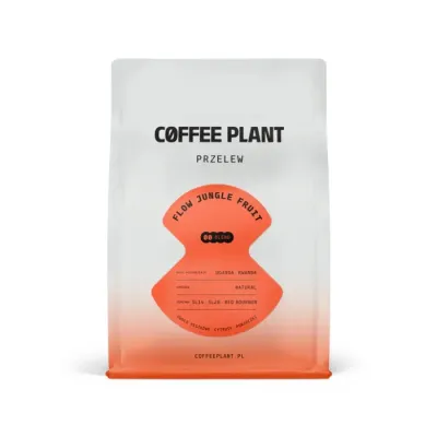 Кофе в зёрнах Coffee Plant Flow Jungle Fruit 250 г