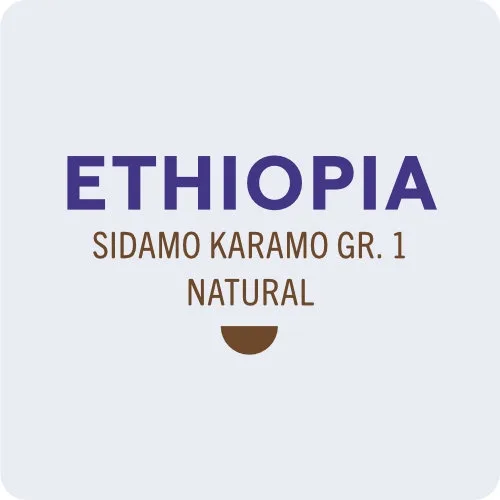 Кофе в зёрнах Coffee Grange Ethiopia Sidamo Karamo Gr.1 Natural, 250 г