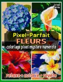 Раскраска по номерам Raya Jewel — Pixel-Parfait: цветы, загадочная мозаика, 92 стр. — фото 1