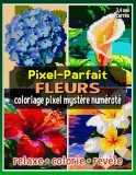 Раскраска по номерам Raya Jewel — Pixel-Parfait: цветы, загадочная мозаика, 92 стр. — фото 2