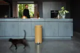 Мусорное ведро с педалью Brabantia NewIcon 30 л золотой — фото 5