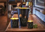 Свеча ароматическая Cereria Molla Premium Ginger & Orange Blossom имбирь и цветок апельсина 230 г — фото 3