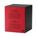 Ароматическая свеча Cereria Molla Santiago Red Fruits 230 г, аромат цитрусов, белых цветов и рома — фото 3