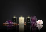 Набор из 3 маленьких ароматических свечей Cereria Molla Boutique Bulgarian Rose & Oud, Black Orchid & Lily, Moroccan Cedar — фото 6