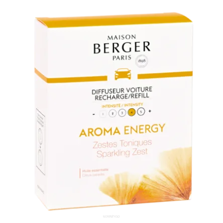 Сменный блок для автомобильного диффузора Maison Berger Paris Aroma Energy, 2 шт.