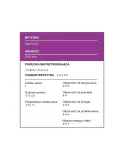 Перфорированный противень Patisse SILVER-TOP 40 x 30 см, сталь ECCS, антипригарное покрытие, серебристый — фото 2
