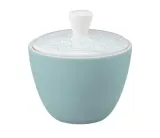Сахарница с крышкой фарфоровая Seltmann Weiden Life Fashion Green Chic 260 мл, мятная — фото 1