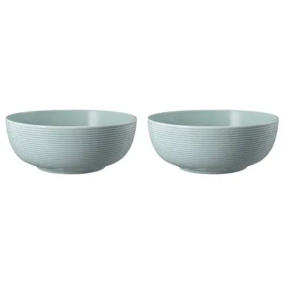 Миски фарфоровые Seltmann Weiden Beat Color Glaze 20 см, набор 2 шт, голубые