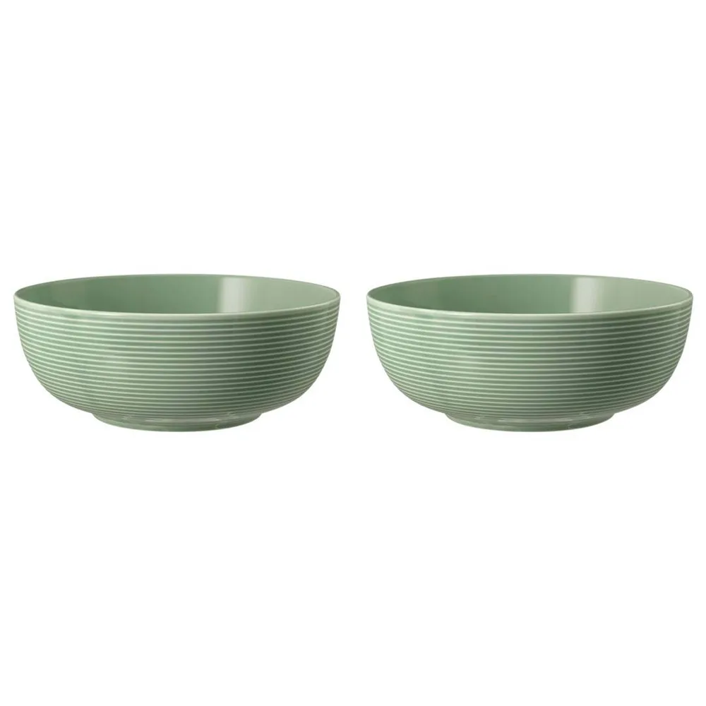 Миски фарфоровые Seltmann Weiden Beat Color Glaze 20 см, набор 2 шт, эвкалиптовые