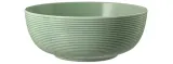 Миски фарфоровые Seltmann Weiden Beat Color Glaze 20 см, набор 2 шт, эвкалиптовые — фото 2