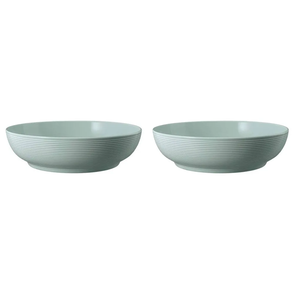 Миски фарфоровые Seltmann Weiden Beat Color Glaze 25 см, набор 2 шт, голубые