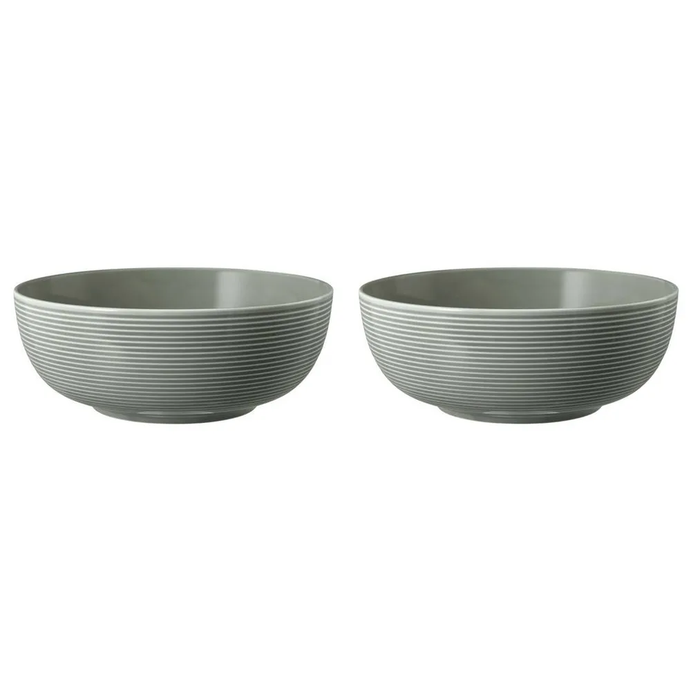 Миски фарфоровые Seltmann Weiden Beat Color Glaze 20 см, набор 2 шт, серые