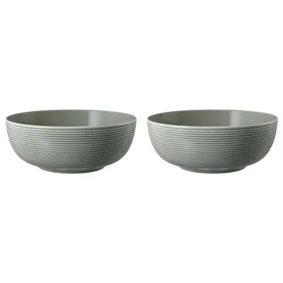 Миски фарфоровые Seltmann Weiden Beat Color Glaze 20 см, набор 2 шт, серые