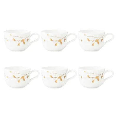 Чашки кофейные фарфоровые Seltmann Weiden Liberty Golden Rose Hip 260 мл, набор 6 шт