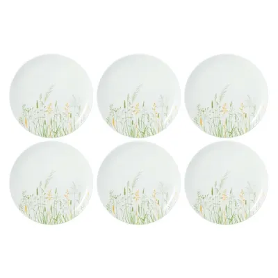 Тарелки обеденные фарфоровые Seltmann Weiden Meadow Grasses Green 27,5 см, набор 6 шт, белые с узором трав