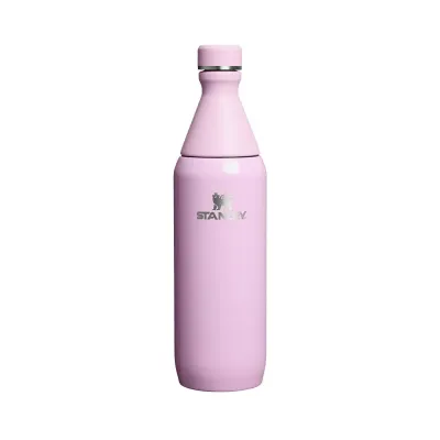 Бутылка для воды Stanley All Day Slim 600 мл, нержавеющая сталь, два горлышка, Cherry Blossom Gloss
