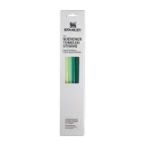 Трубочки Stanley для кружки Quencher H2.O FlowState 1,18 л, набор 4 шт, многоразовые, зелёные Green — фото 1
